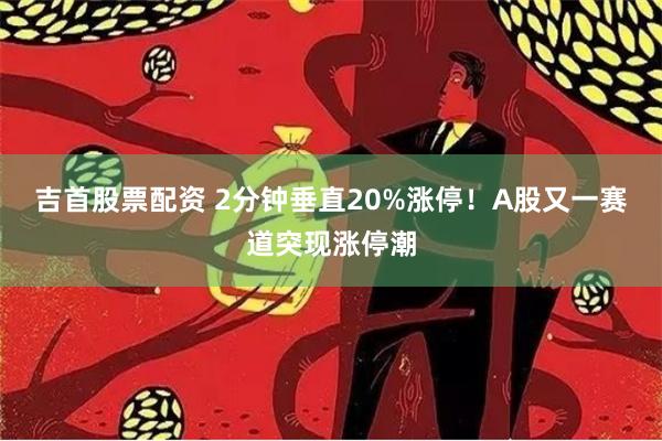 吉首股票配资 2分钟垂直20%涨停！A股又一赛道突现涨停潮