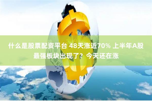 什么是股票配资平台 48天涨近70% 上半年A股最强板块出现了？今天还在涨