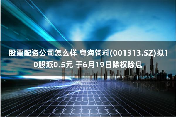 股票配资公司怎么样 粤海饲料(001313.SZ)拟10股派0.5元 于6月19日除权除息