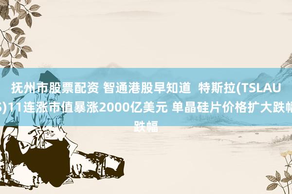 抚州市股票配资 智通港股早知道  特斯拉(TSLAUS)11连涨市值暴涨2000亿美元 单晶硅片价格扩大跌幅