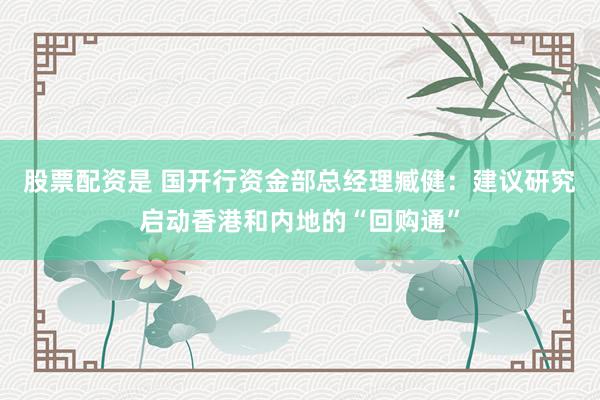 股票配资是 国开行资金部总经理臧健：建议研究启动香港和内地的“回购通”