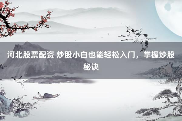 河北股票配资 炒股小白也能轻松入门，掌握炒股秘诀